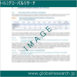 グローバルリサーチ調査レポートのイメージ